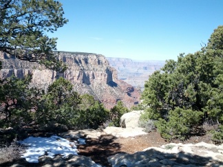 IMG_20130313_115708.jpg